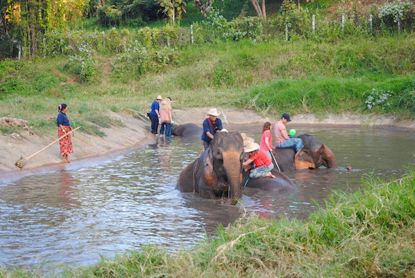 Reisetips om elefantridning i Thailand.