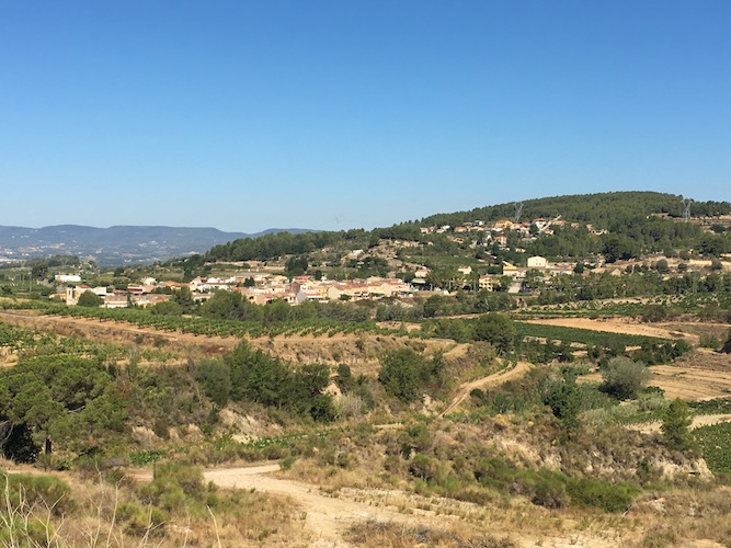 segway_økologisk_vingård_barcelona-16