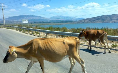 Reisetips til Albania?