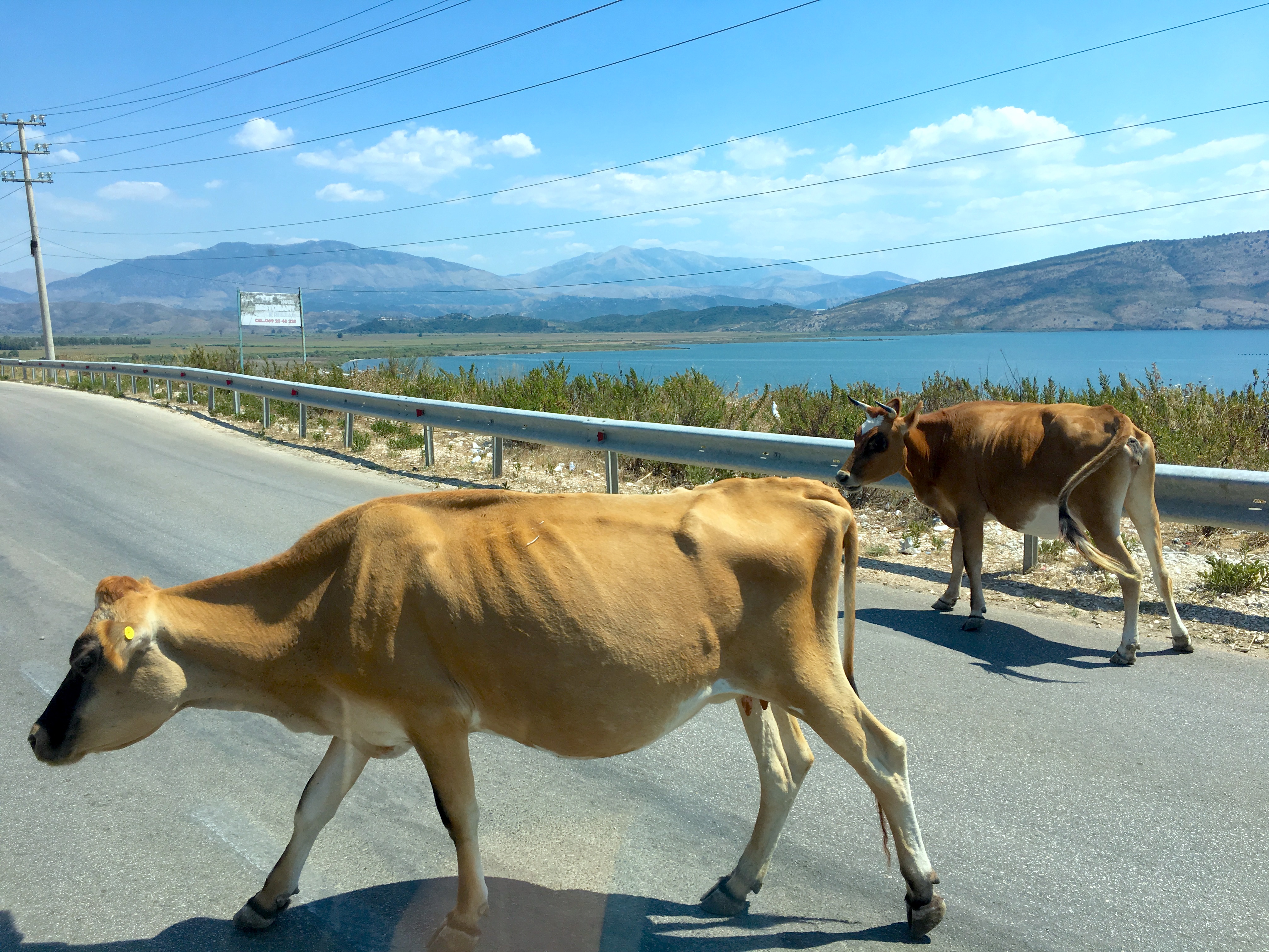 Reisetips til Albania?