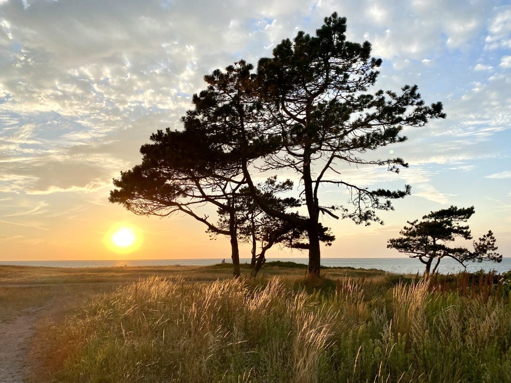 Solnedgange ved Gillelejestien.